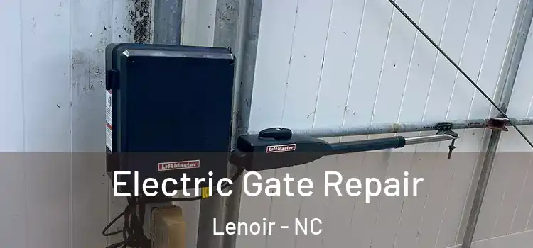 Electric Gate Repair Lenoir - NC