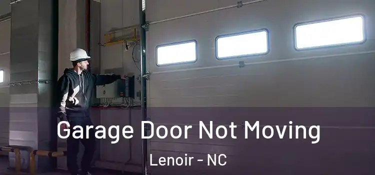  Garage Door Not Moving Lenoir - NC