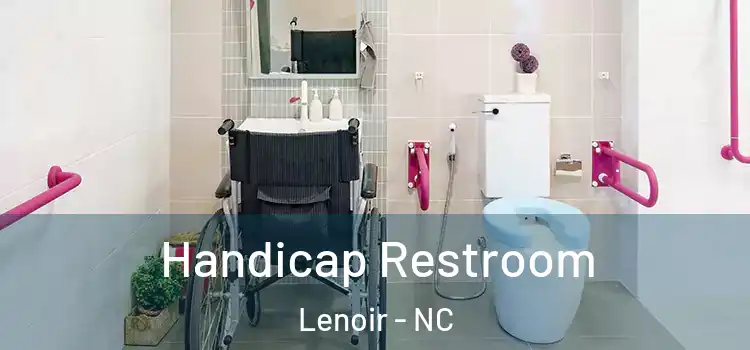  Handicap Restroom Lenoir - NC