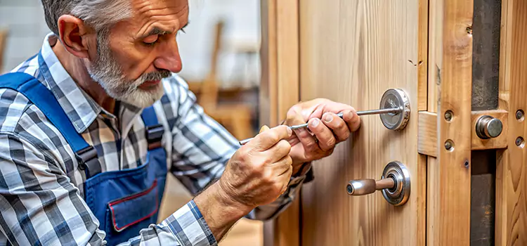 Mortise Replacement Lock Lenoir