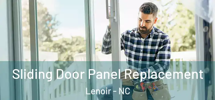  Sliding Door Panel Replacement Lenoir - NC
